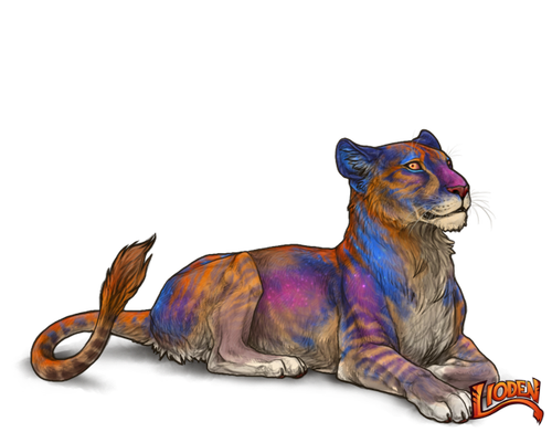 lioden wardrobe 2026 03 02T143744.755.png