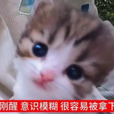 xmj 1767556406485.png