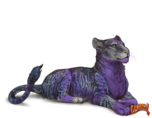 lioden wardrobe 2026 03 02T144130.795.png