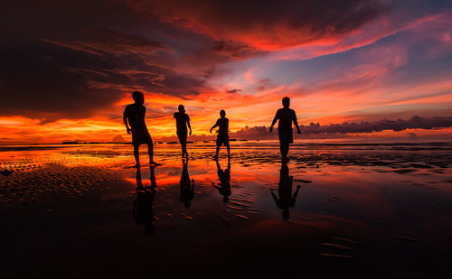 AdobeStock 95113773.jpg