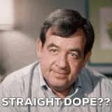 giphy (1).gif