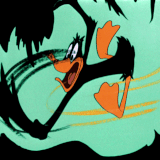 ezgif.com resize (45).gif