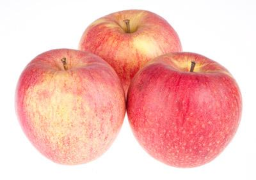 d2af53a84e6612d0b4629dec50e5c65c png 710x 83b40 convert.png