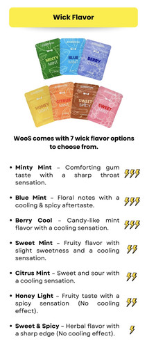 Woos OnPay (English) (6) 2.jpg