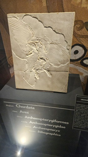 1000017681.jpg