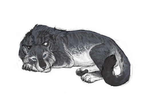 IMG 9477.png