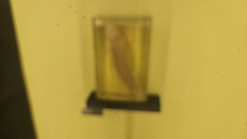 1000017714.jpg