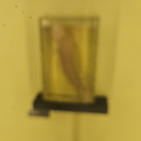 1000017714