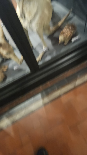 1000017735.jpg