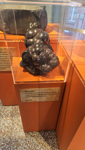 1000017744.jpg