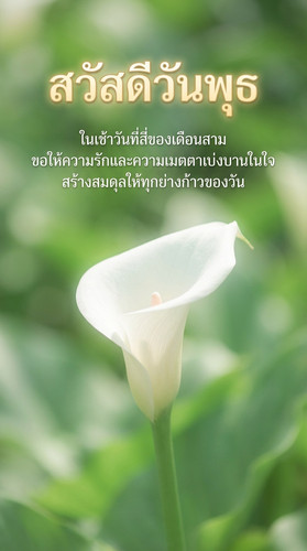 uc?id=1P6olZynQjmDVleiLnrBNqAthNEX3Hj g&export=download.jpg