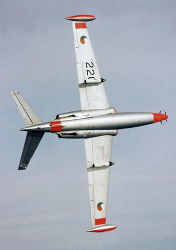 572788105 1889609021674827 788912417731532252 n.jpg