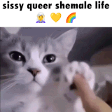 another day.gif
