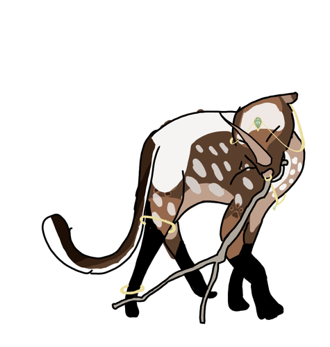Untitled114.png