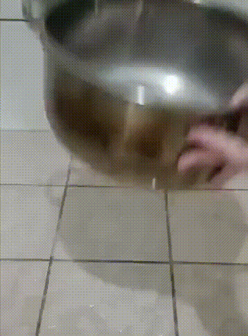 cat soup long version