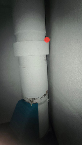 4170.jpg
