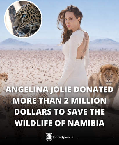 ANGELINA JOLIE DONATED MORE THAN 2 MILLION DOLLARS TO SAVE THE WILDLIFE OF NAMIBIA.png