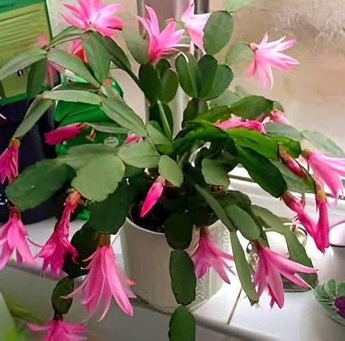 51uS5mkAcKL. AC UF1000,1000 QL80.jpg