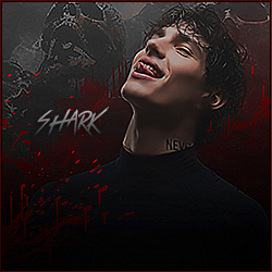 sharkeisha.jpg
