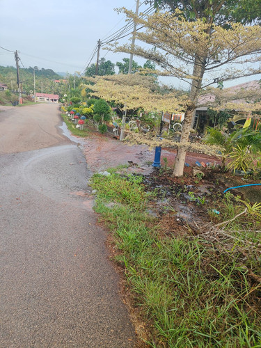 WhatsApp Image 2026 03 04 at 1.04.39 PM.jpg