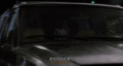 最后的诱惑.The.Last.Seduction.1994.UHD.BluRay.2160p.x265.DV.HDR.FLAC.mUHD FRDS 001206.jpg