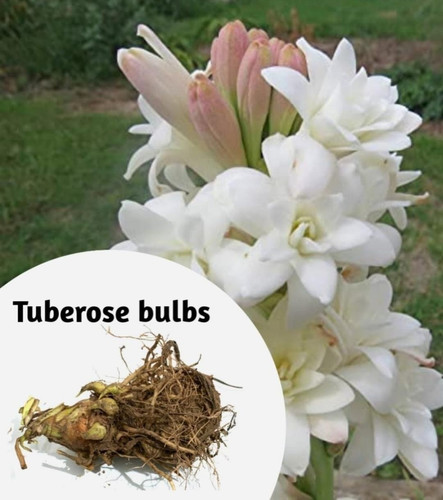 whatsapp image 2024 04 16 at 3 2.jpg