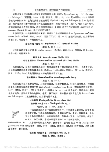 d53024dfbabe.png