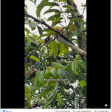 Screenshot 8.png