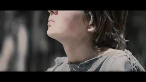 Clash.of.the.Titans.2010.UHD.BluRay.2160p.DV.HDR.x265.10bit.DTS HD.MA.5.1 UBits 000311.jpg