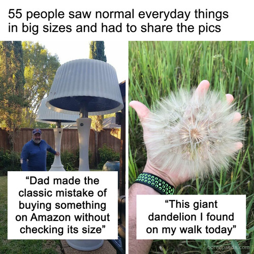 normal things big.jpg
