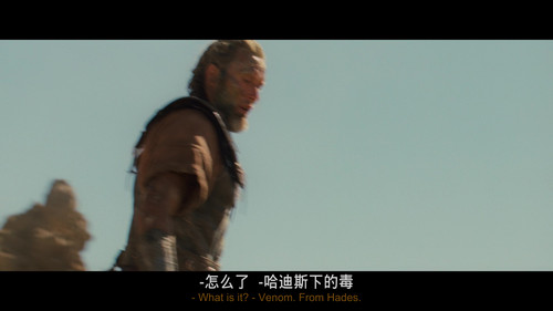 Clash.of.the.Titans.2010.UHD.BluRay.2160p.DV.HDR.x265.10bit.DTS HD.MA.5.1 UBits 004641.jpg