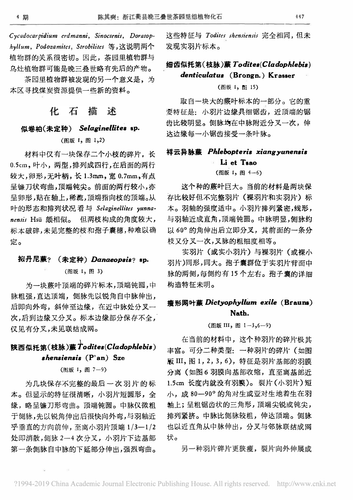 932a0599bb44.png