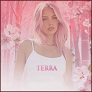 terra.gif