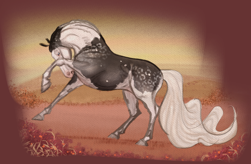 IMG 0356.png