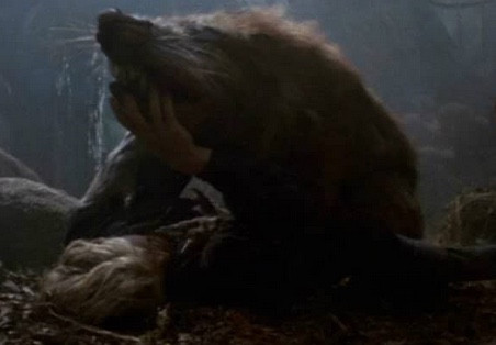 rat 1 moi.jpg