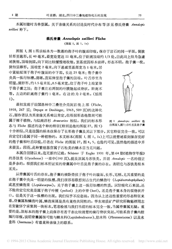 94e367ab77ef.png