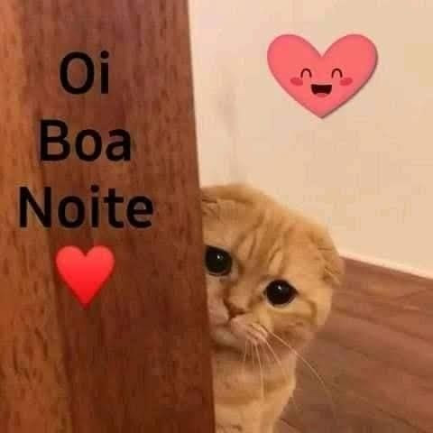 Boa Noite Gatinho.jpg