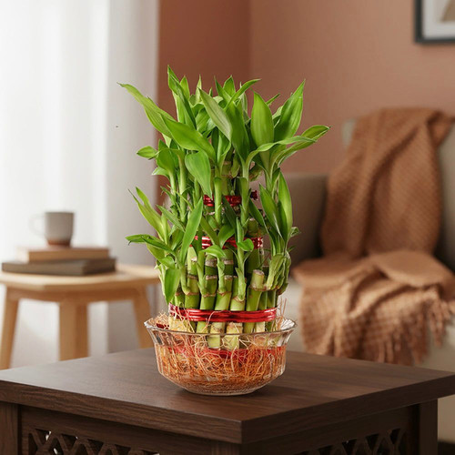 455a81f4 ed4f 48ef ad95 406cb23cd14d.jpg