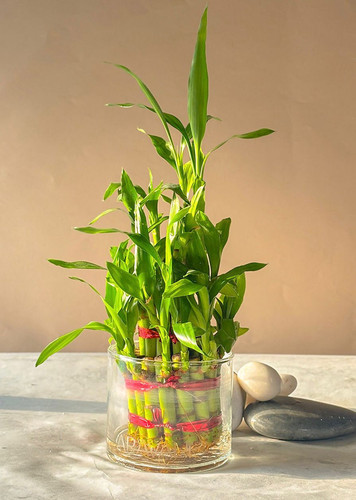 be3041de f9e9 4da6 b5b6 8b72d61b06db.jpg