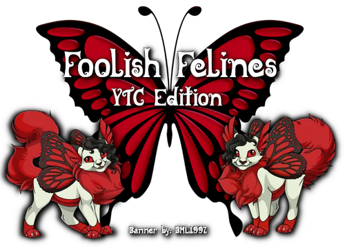 foolish felines ytc