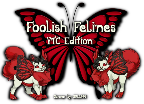 foolish felines ytc