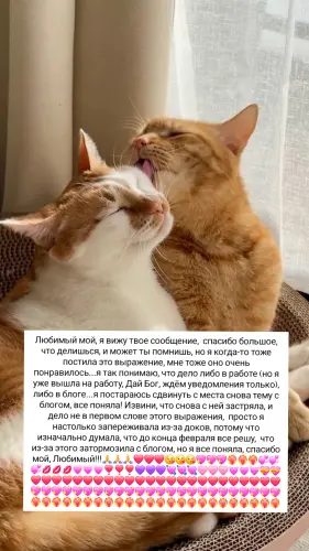 IMG 20260305 105531 774.webp