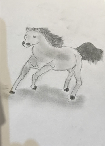 CE8960D5 DC49 4D16 BB46 D524C897531C.jpg