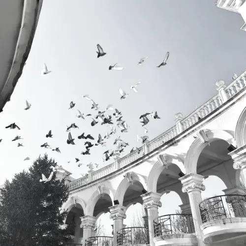 1040g3k031skuek8pm2dg5nkcd1ng9ba29e2v320!nd dft wlteh webp 3.webp