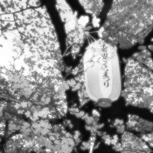 1040g3k831rj77nbc32005ngr5ap089rpps6kbc0!nd dft wlteh webp 3.webp