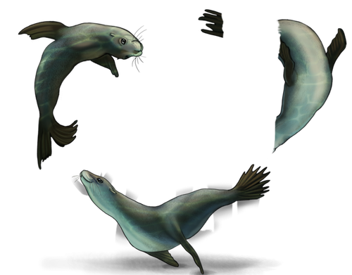 sea lions good.png
