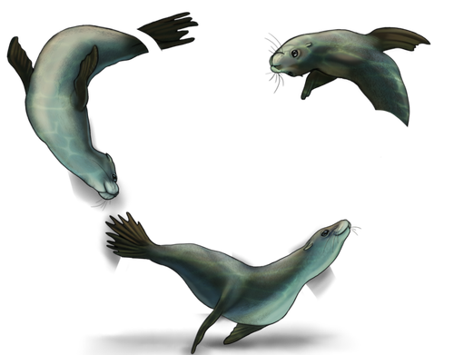 sea lions snarky.png