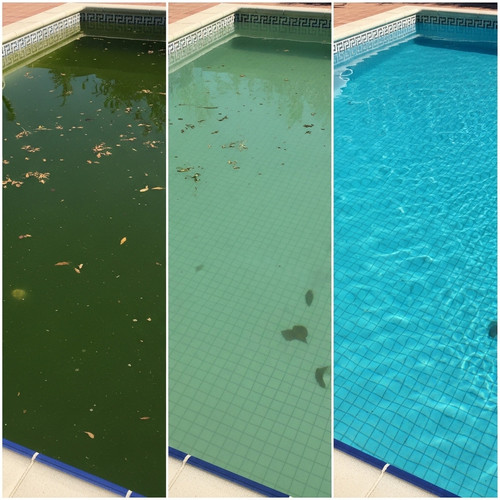 Before: green pool recovery in Spring Farm NSW