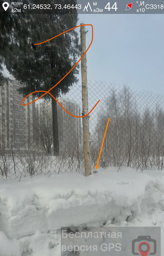 IMG 9109.jpg