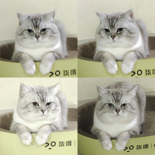 IMG 20260304 094600.jpg